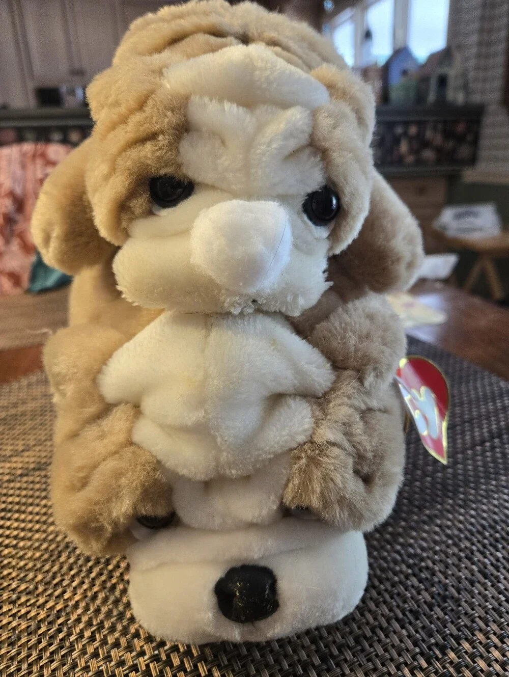 Ty Winston and Wrinkles Pair